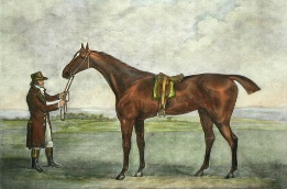 race horse portrait, 1800
