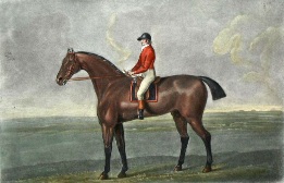 horse print after george stubbs