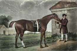 george stubbs horse print