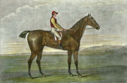 Hambletonian, race horse