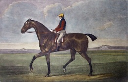 Diamond, race horse portrait by stubbs