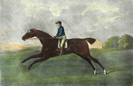 hand colored race horse print