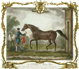 White Nose, race horse with owner