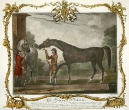 Brabraham, racehorse print