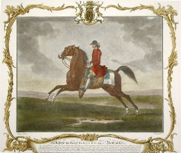 Childers, racehorse with jockey