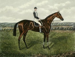 hand coloured horse and jockey portrait