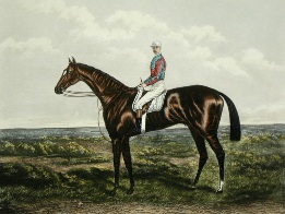race horse portrait, isinglass