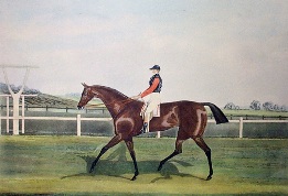 Matilda, race horse by Pollard