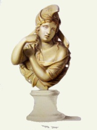 print of classical bras bust of female