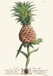 print of pineapple