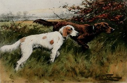 hand colored print of setters