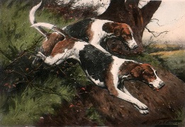 Gone Away, print of hounds