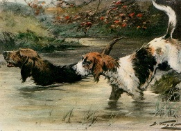 hounds in stream, hand colored print