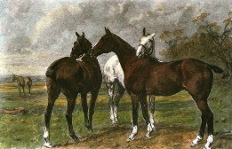 hand coloured print of horses