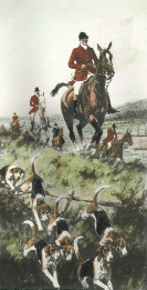 fox hunting with hounds