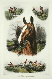 fox hunting horse print