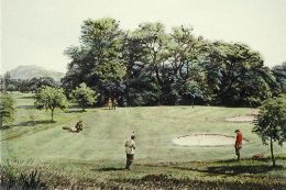 golf, the fairway