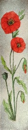 print of poppies