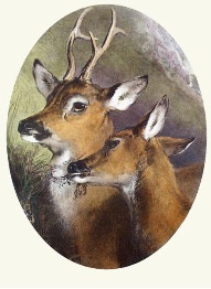 print of deer after landseer
