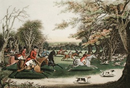Royal Hunt in Windsor Park, after pollard