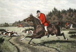 fox hunting with hounds