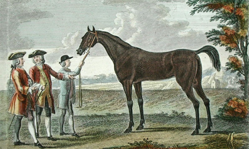 Othello (Horse)