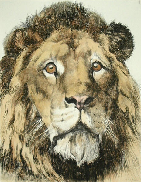 Lions Head