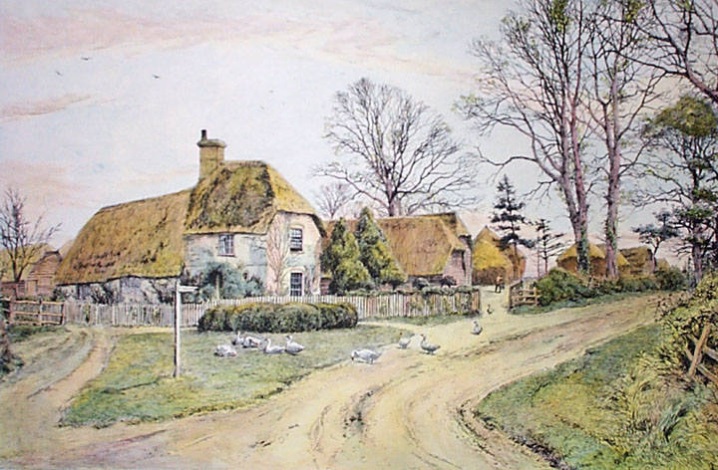 Farm in the New Forest