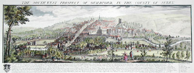 Guildford, Panoramic View (Co