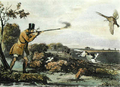 Pheasant Shooting - Pyall