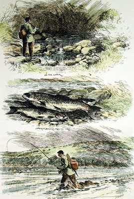 Trout Fishing in Yorkshire