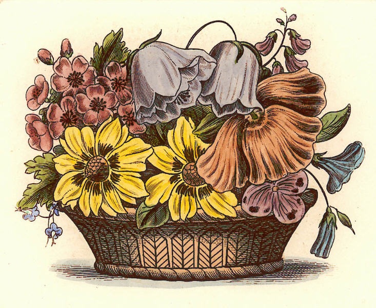 Flower Bowls - Plate III