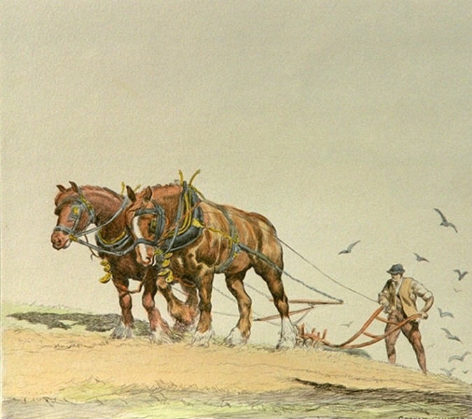 Ploughing - Plate 2
