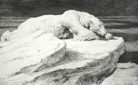 Polar Bear at Rest