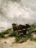 On the Dunes (Cattle)