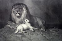 Lion & Lamb, The Golden Age