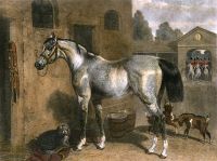 Cavalry Horse