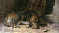 Sentinel (Bloodhound)