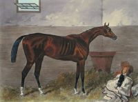 Lord Lyon (horse portrait)