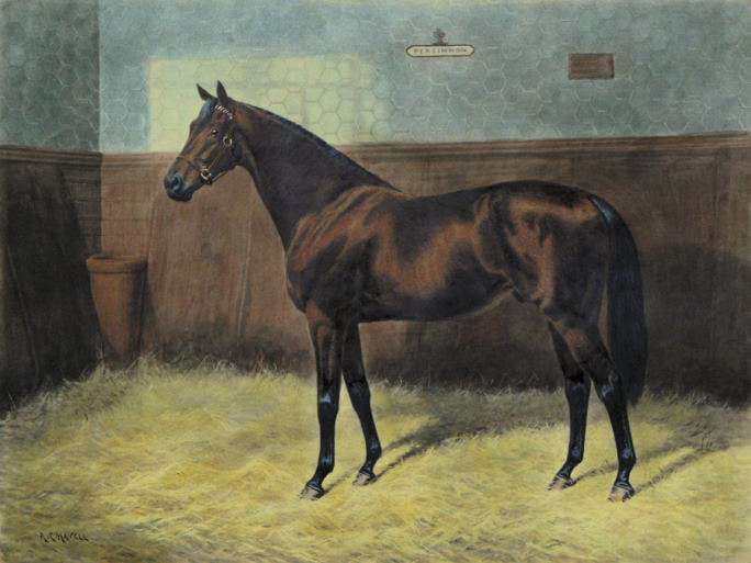 Persimmon (horse portrait)