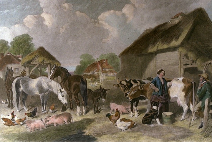 English Farmyard, An