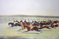 Cambridgeshire Stakes, The