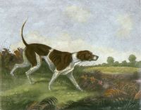 Whisker (A Pointer)