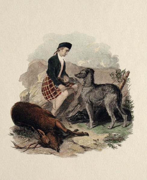 Gillie With Deer Hound & Deer