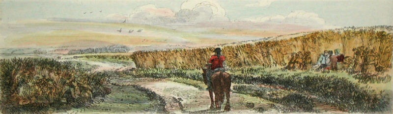Haymaking (Plate 2)