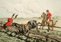 Qualified Horses - Plate IV