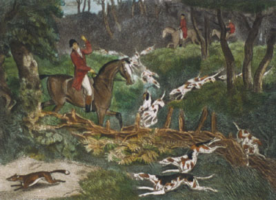 Fox Hunting - Plate IV