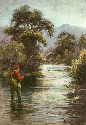Playing the Trout