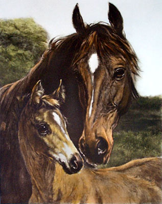 Thoroughbred (Small)