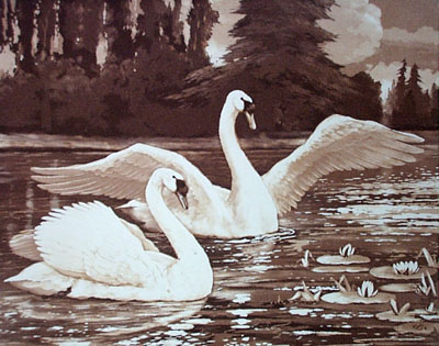 Swans - Plate I